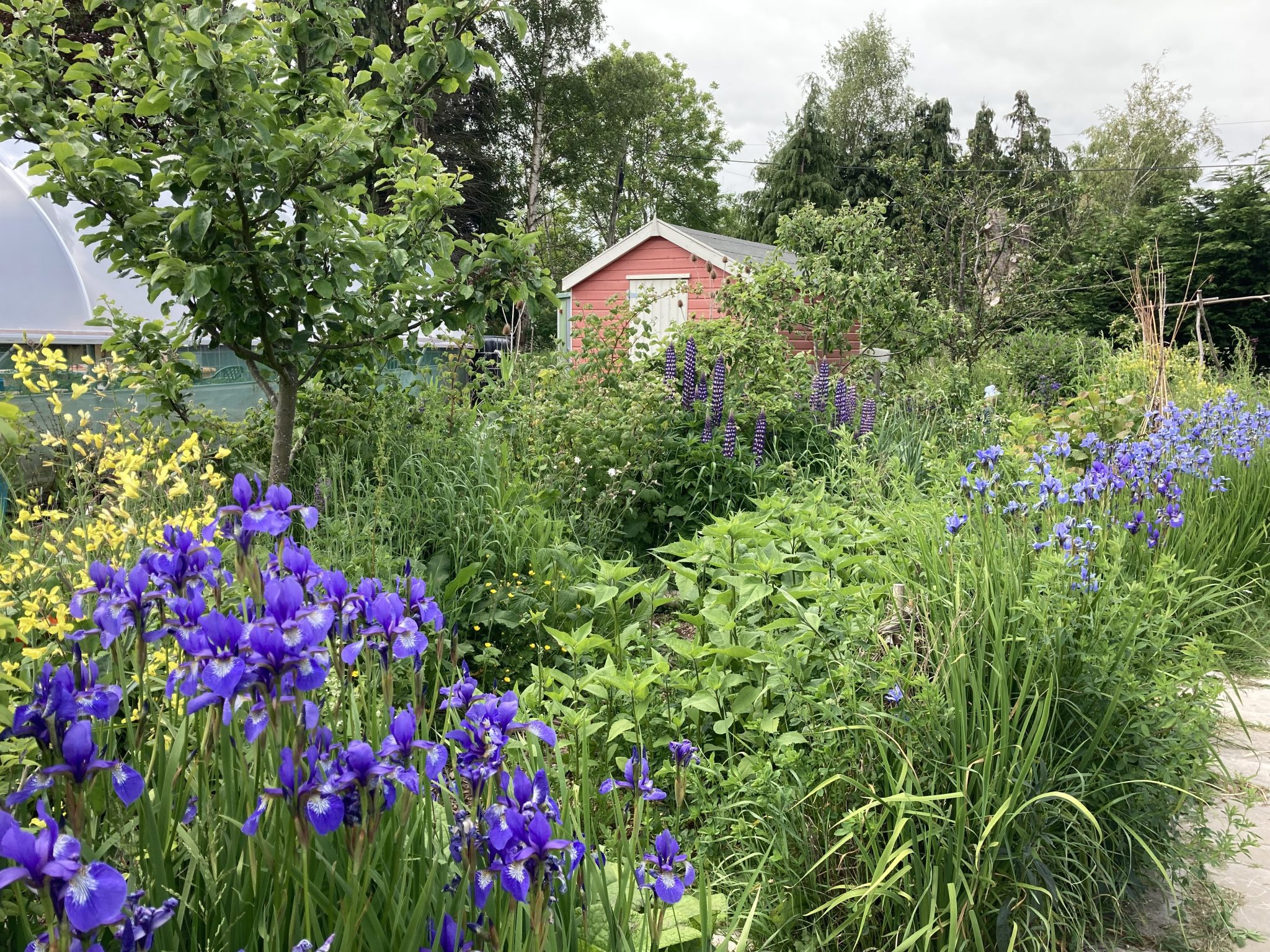 Climate Friendly Gardens Climate Action Fife