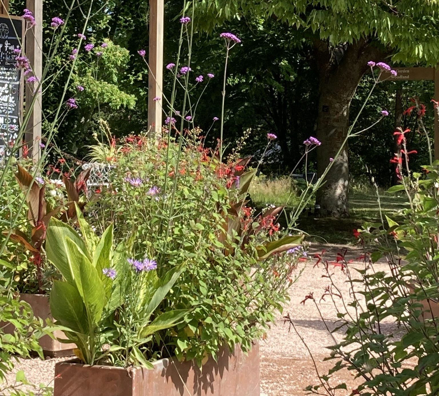 Climate Action Fife Climate Friendly Gardens ten top tips for