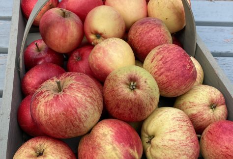 A basket of apples