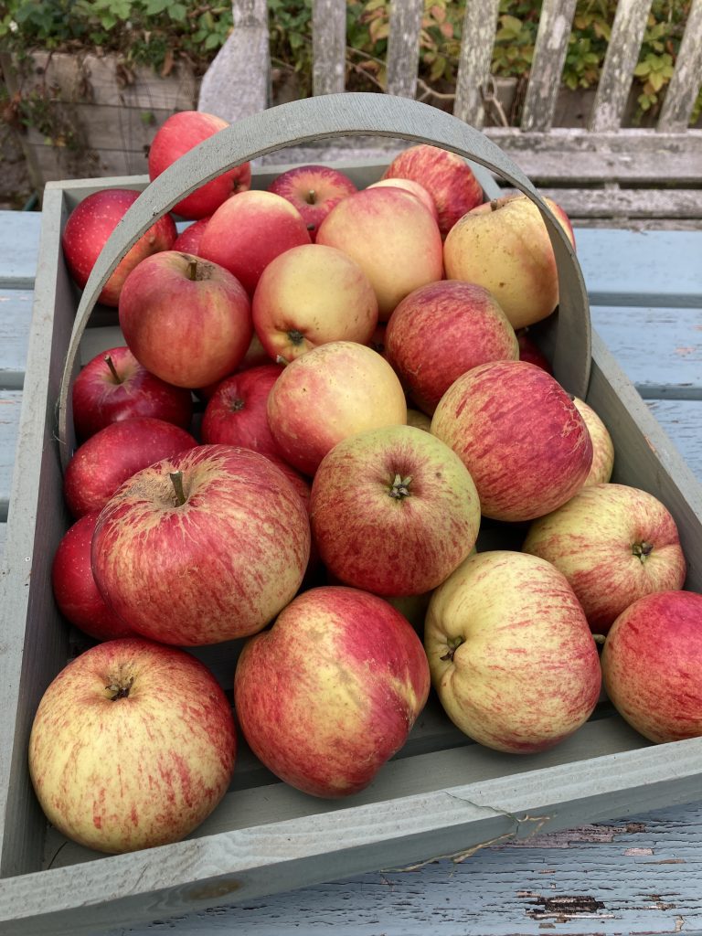 Monimail Apple Day