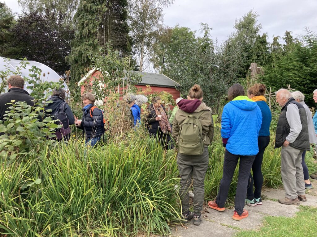 Discover the basics of forest gardening workshop
