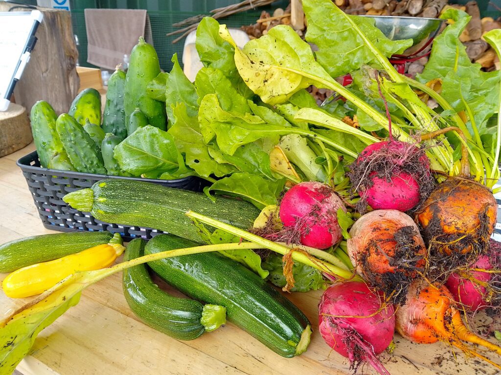 Introduction to Fermentation – kimchi and seasonal garden veg