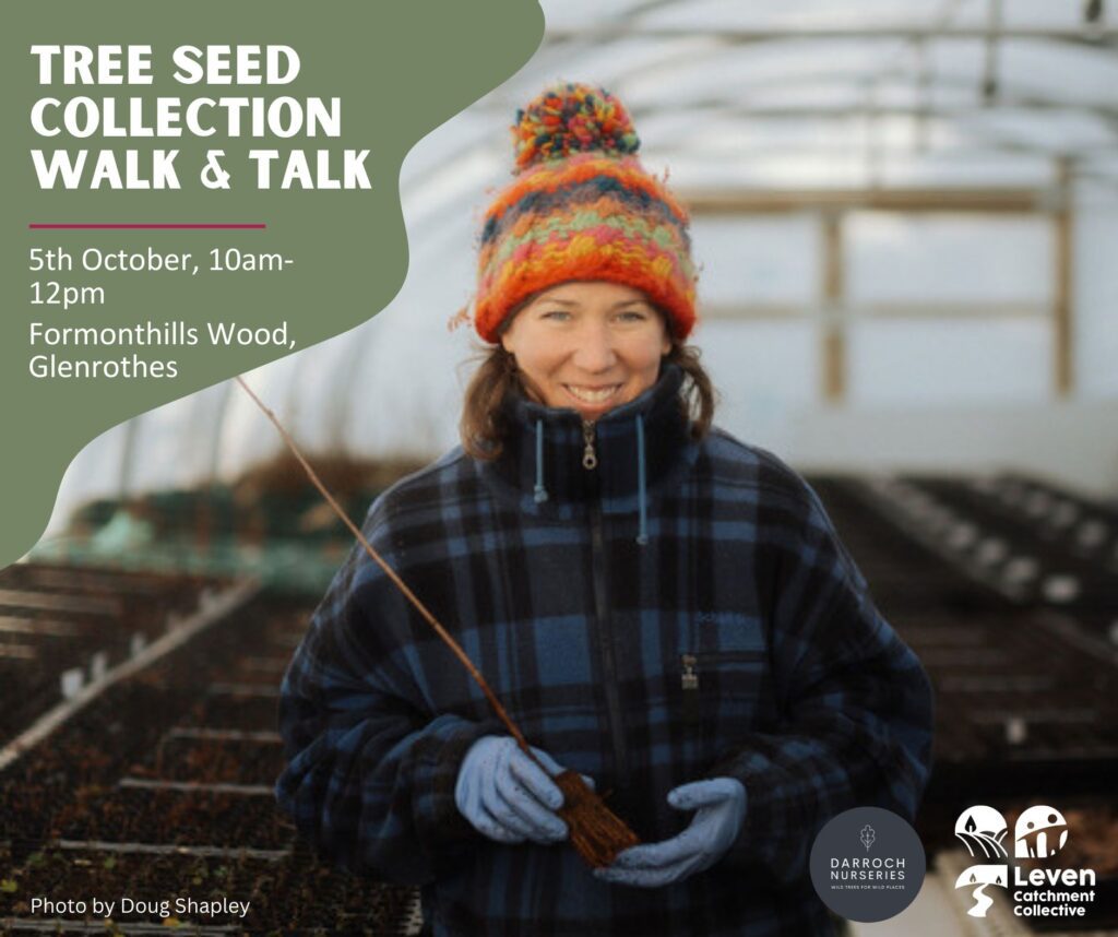 Tree Seed Collection Walk & Talk