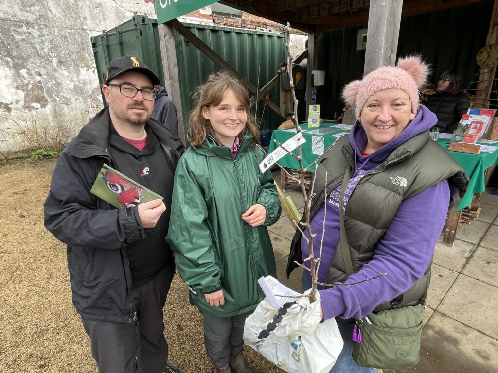 Pick-up a fruit tree in Anstruther