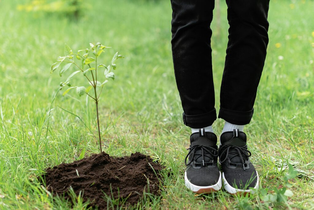 Community Tree Planting in Rosyth