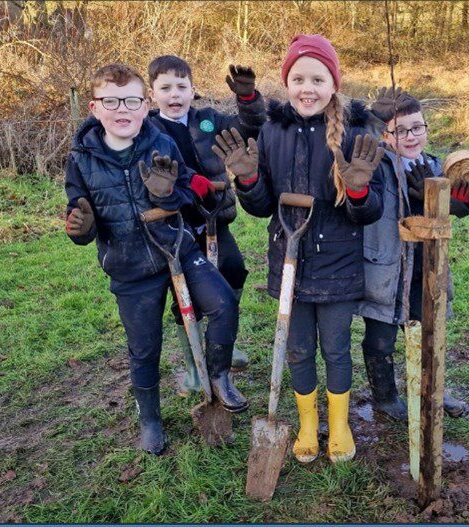 Take part in the One Small Action for Trees and Woods Challenge