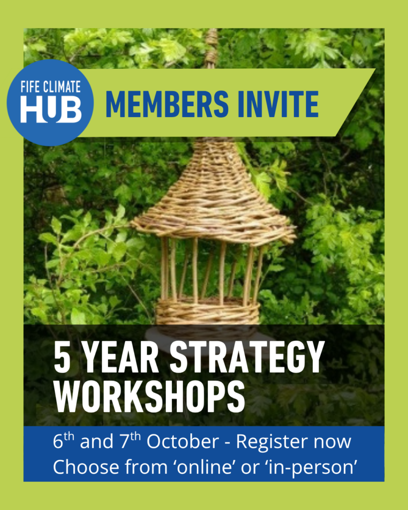 5-Year Strategy Member Workshop (online)