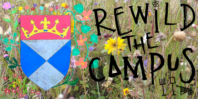 Rewild the campus!